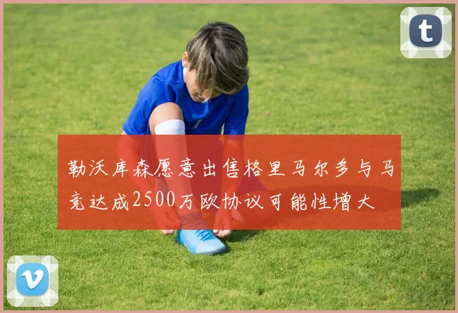 勒沃库森愿意出售格里马尔多与马竞达成2500万欧协议可能性增大